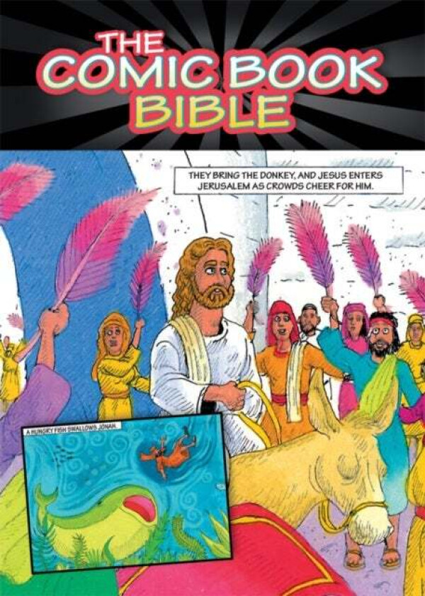 The Comic Book Bible av Rob Suggs