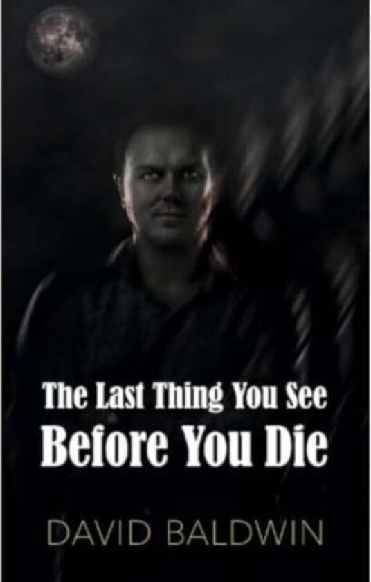 The Last Thing You See Before You Die av David Baldwin
