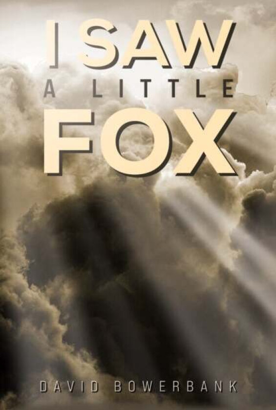 I Saw a Little Fox av David Bowerbank