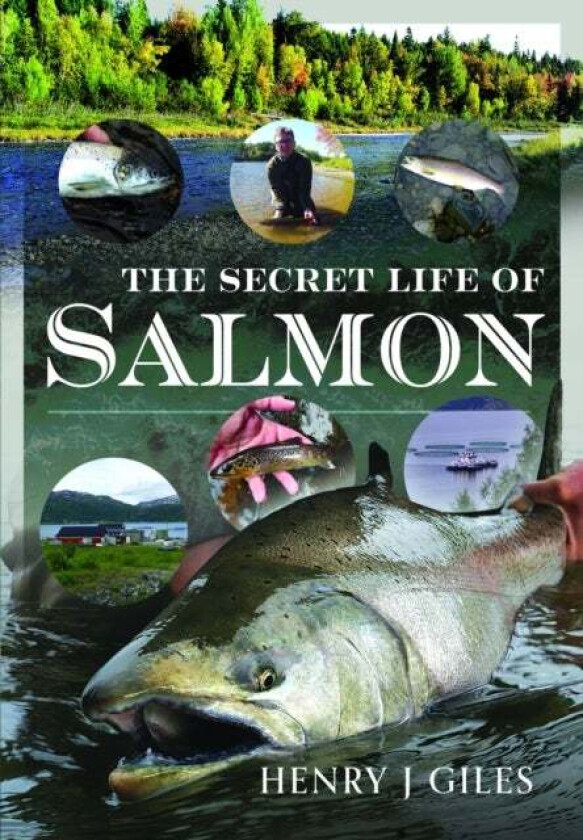 The Secret Life of Salmon av Henry J Giles