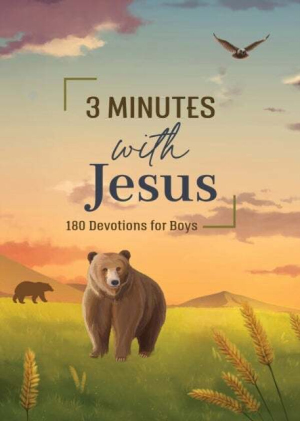 3 Minutes with Jesus: 180 Devotions for Boys av Jean Fischer