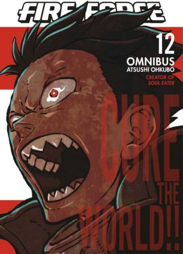 Fire Force Omnibus 12 (Vol. 33-34) av Atsushi Ohkubo