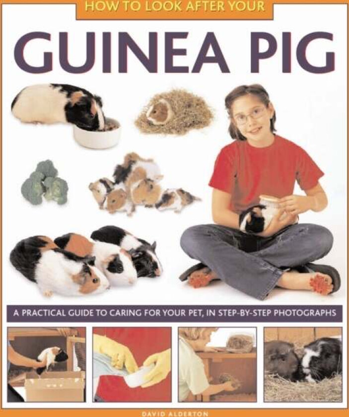 How to Look After Your Guinea Pig av David Alderton