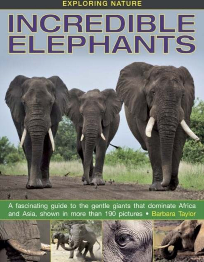 Exploring Nature: Incredible Elephants av Barbara Taylor