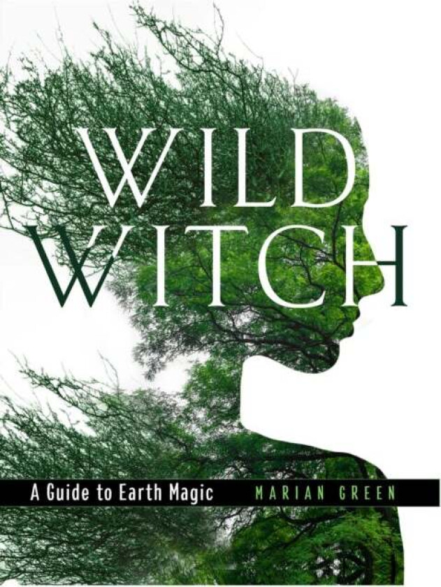 Wild Witch av Marian Green