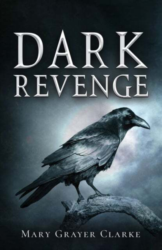 Dark Revenge av Mary Grayer Clarke