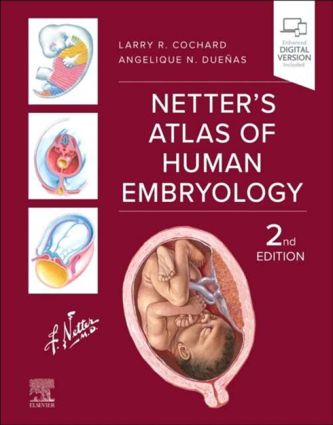Netter's Atlas of Human Embryology av Larry R. (The Feinberg School of Medicine Northwestern University Chicago IL USA) Cochard, Angelique N. Due