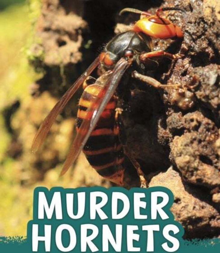 Murder Hornets av Jaclyn Jaycox