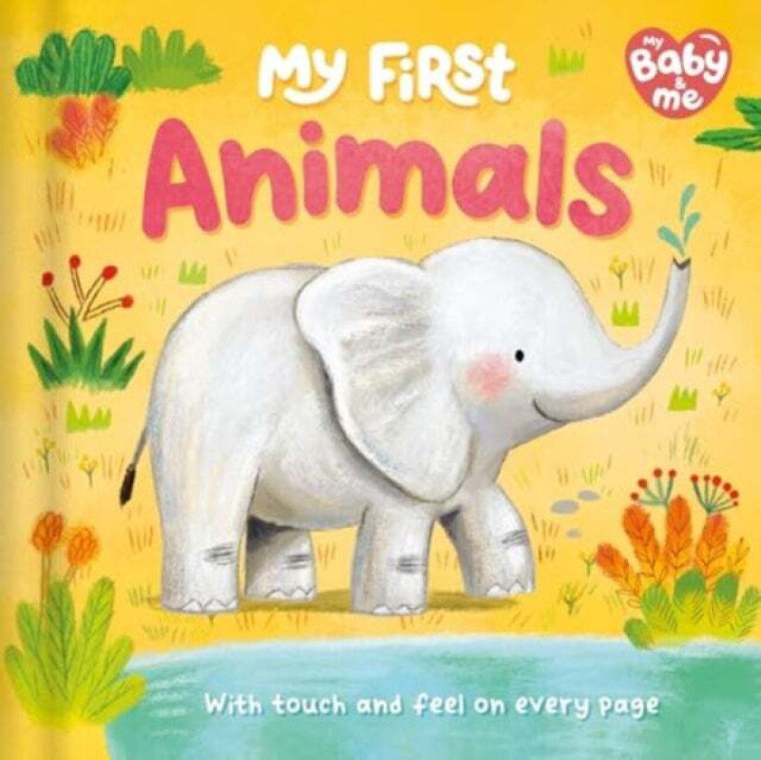 My First Animals av Igloo Books