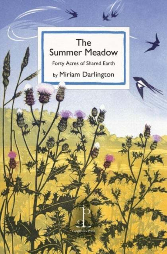 The Summer Meadow av Miriam Darlington