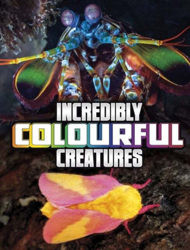Incredibly Colourful Creatures av Megan Cooley Peterson