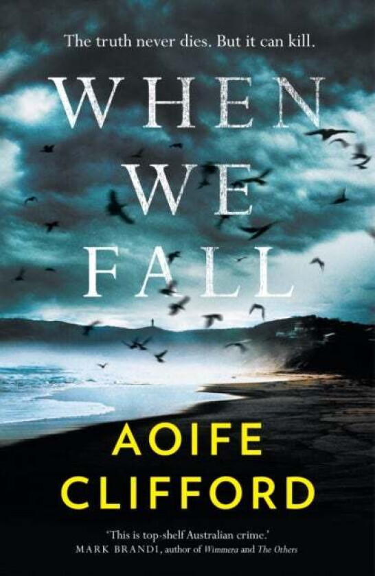 When We Fall av Aoife Clifford