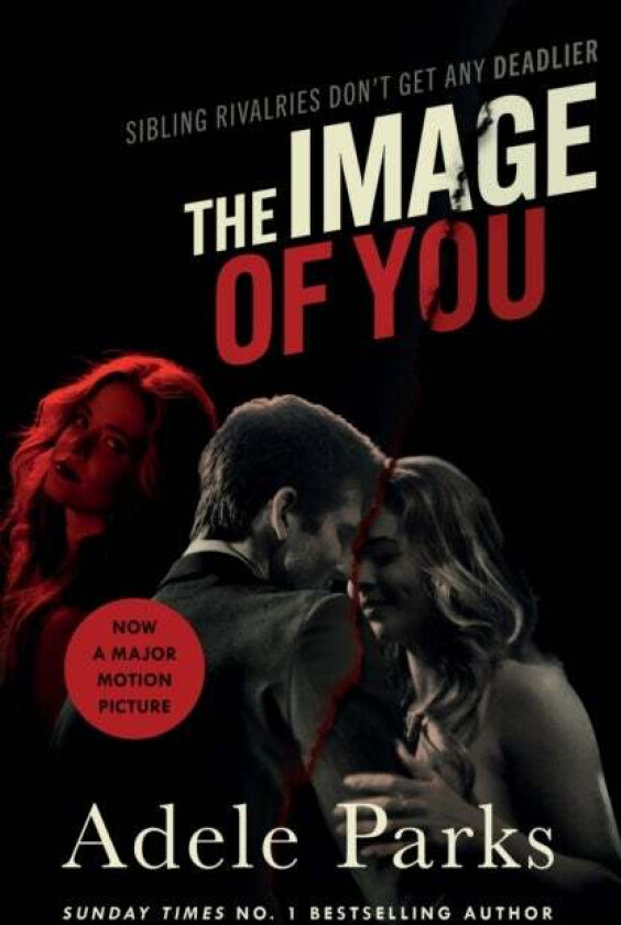 The Image of You av Adele Parks