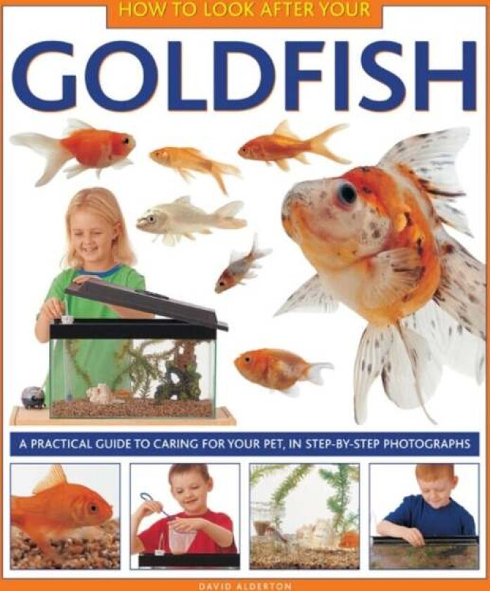 How to Look After Your Goldfish av Alderton David