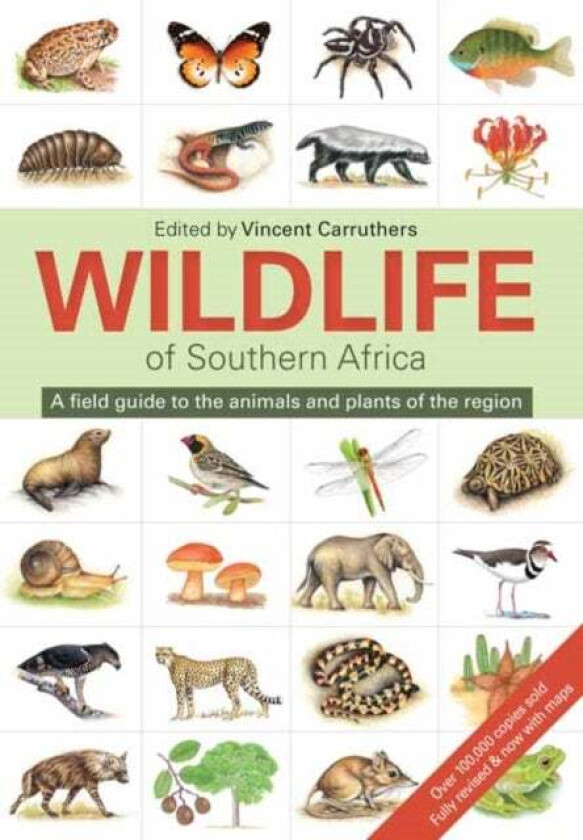 The Wildlife of Southern Africa av Vincent Carruthers