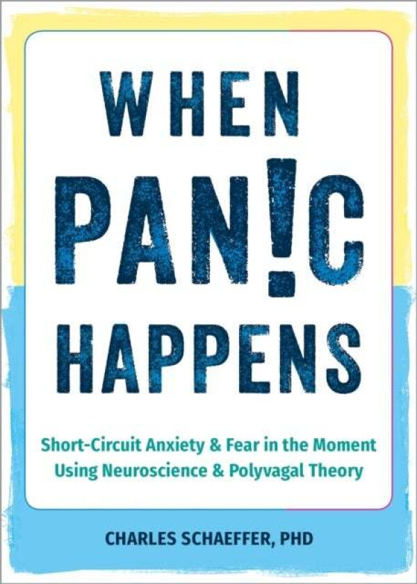 When Panic Happens av Charles Schaeffer