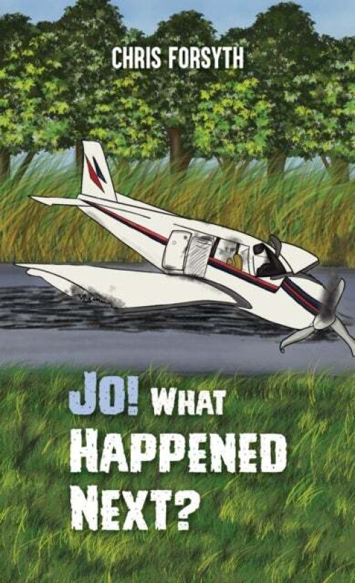Jo! What Happened Next? av Chris Forsyth