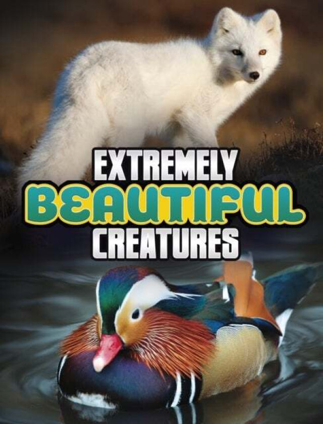 Extremely Beautiful Creatures av Megan Cooley Peterson