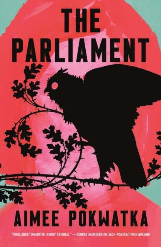 The Parliament av Aimee Pokwatka