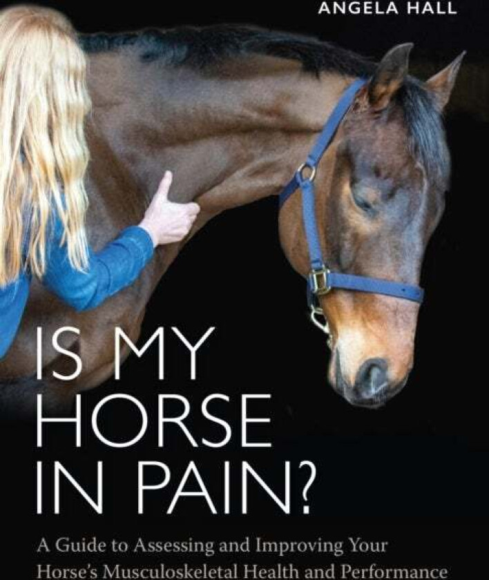 Is My Horse in Pain? av Angela Hall