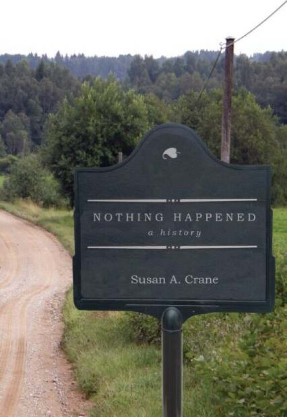 Nothing Happened av Susan A. Crane