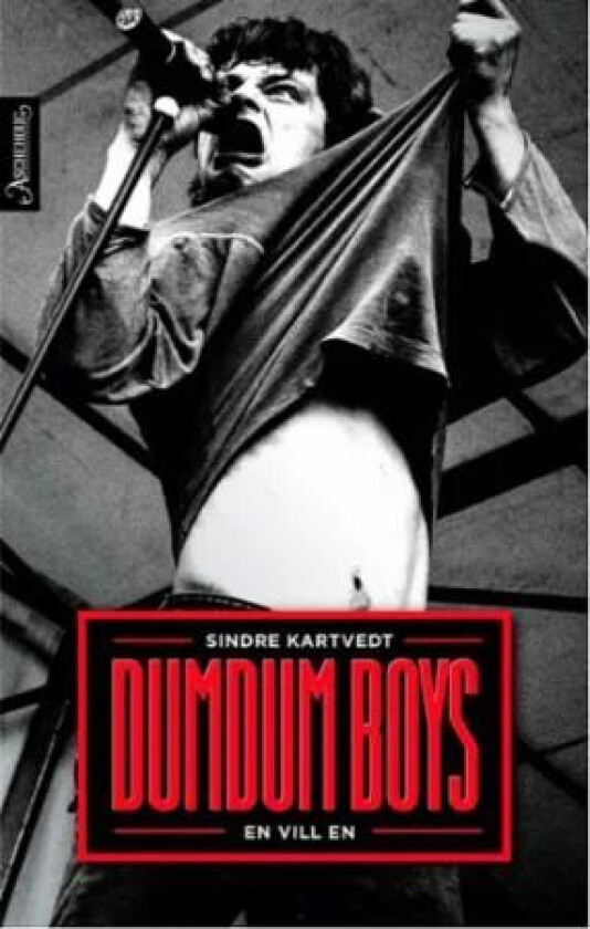 DumDum Boys - en vill en av Sindre Kartvedt