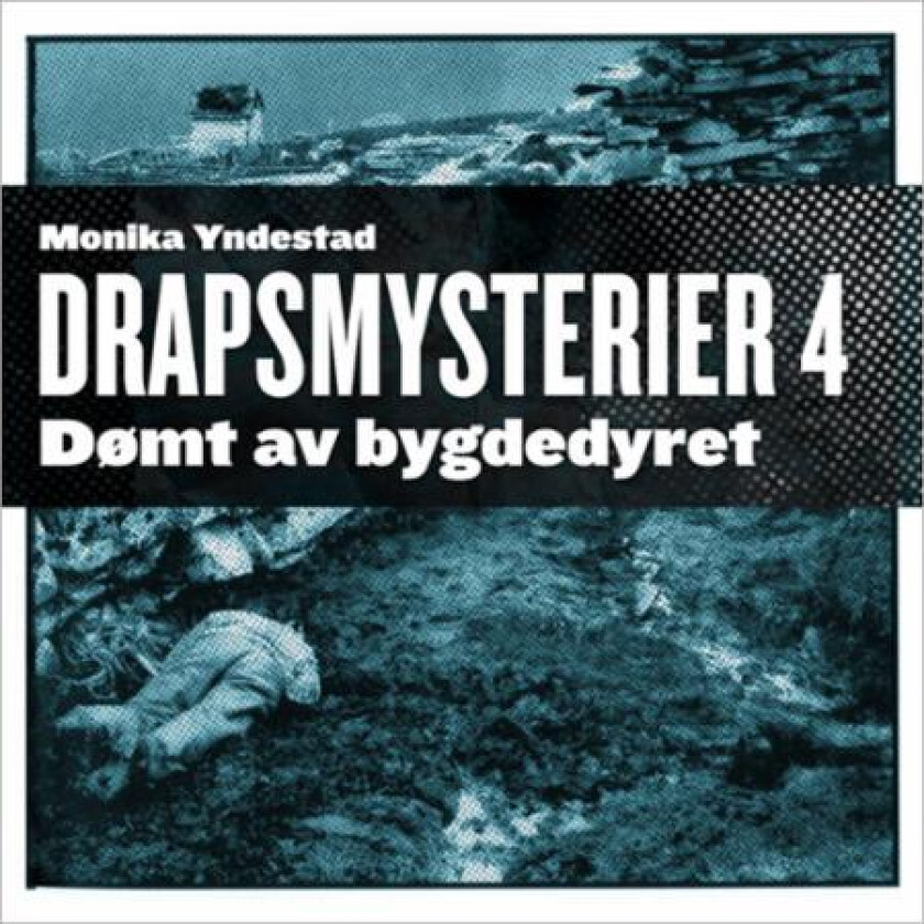 Dømt av bygdedyret av Monika N. Yndestad
