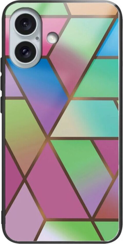 iPhone 16 Fleksibel Plastik Deksel m. Glassbakside - Multi Tern