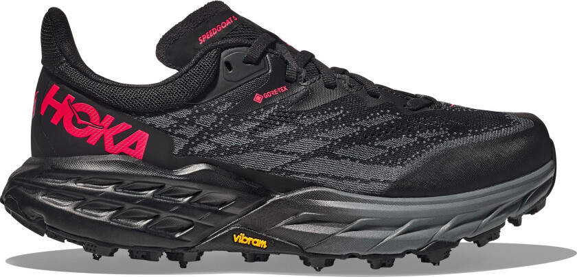 Women's Speedgoat 5 GORE-TEX Spike Black/Black 38 2/3