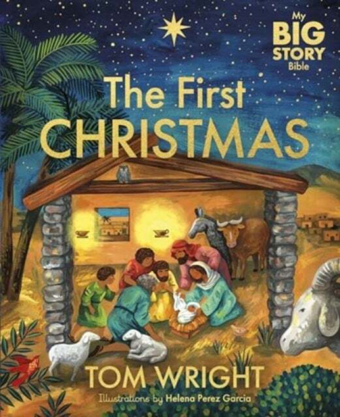 My Big Story Bible: The First Christmas av Tom Wright