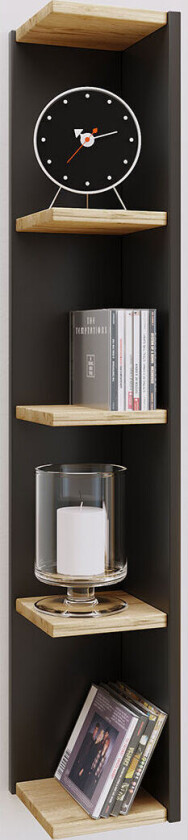 Reading Champion: Staying at Home av Heather Maisner