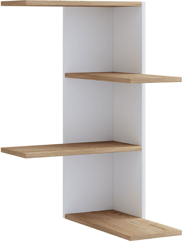 Fetal & Neonatal Secrets av Richard A. MD (William T. Speck Professor Polin