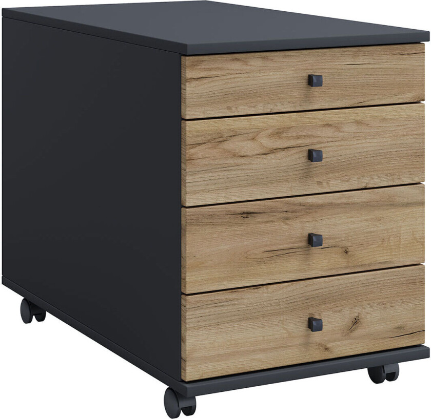 Robbins Essential Pathology av Vinay (Professor and Chairman Department of Pathology University of Chicago Pritzker School of Medicine Chicago IL) Kum