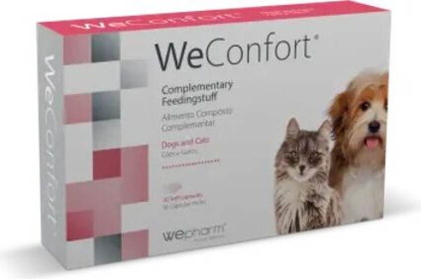 The Lives We Lived av Alexander Stuart