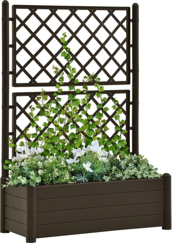 Plantekasse med espalier 100x43x142 cm PP mocca