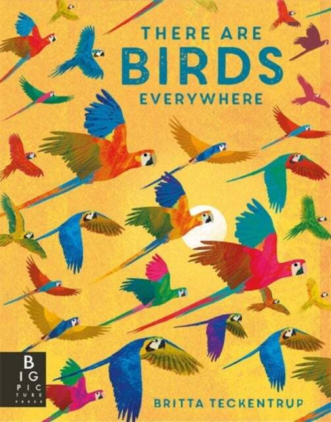 There are Birds Everywhere av Camilla De La Bedoyere