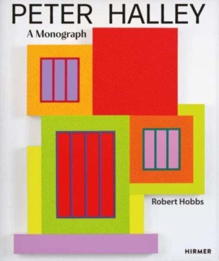 Peter Halley av Robert Hobbs