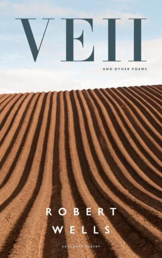 Veii and other poems av Robert Wells