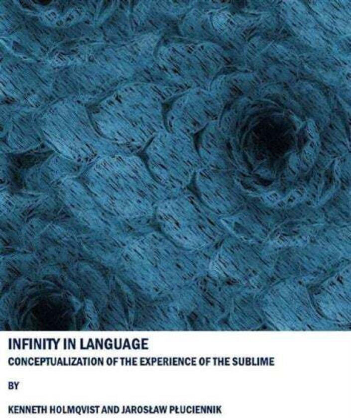 Infinity in Language av Kenneth Holmqvist, Jaroslaw Pluciennik