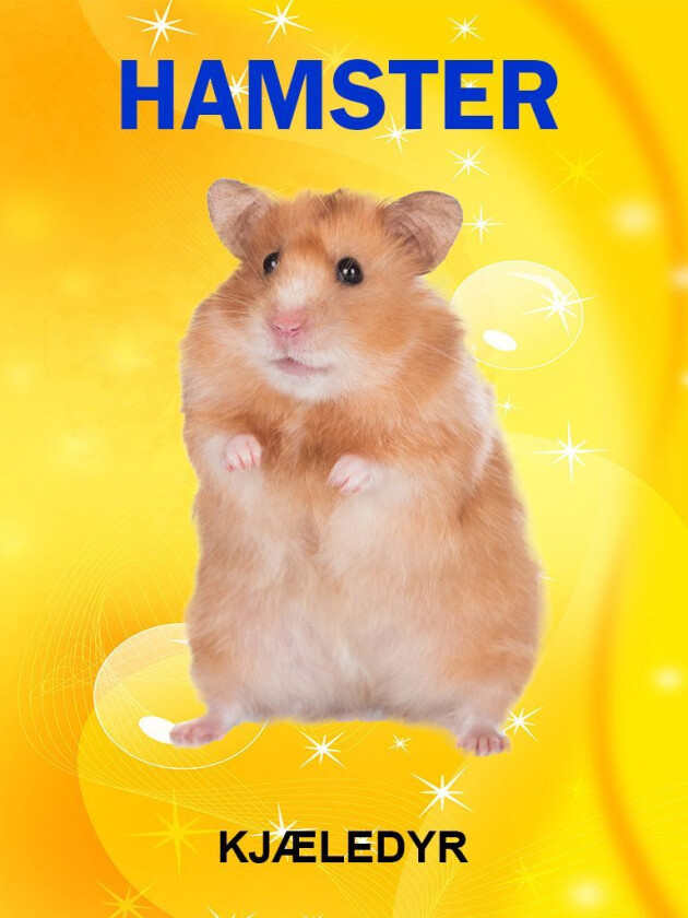 Hamster av Tania Cheslaw