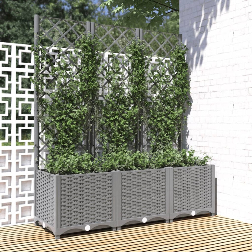 Plantekasse med espalier lysegrå 120x40x136 cm PP