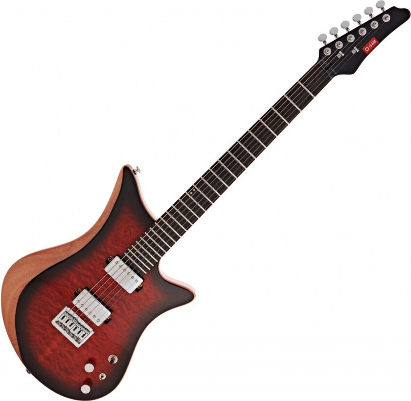255 Deluxe Electric Guitar Tiger Burst