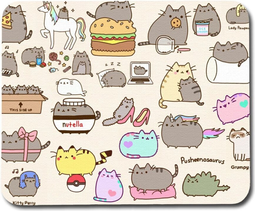 Pusheen Musematte