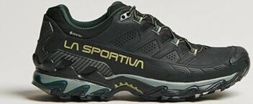Ultra Raptor II Leather GTX Herre Black/Cedar 41