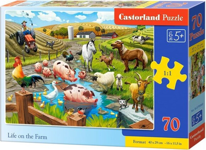B-070060 puzzle