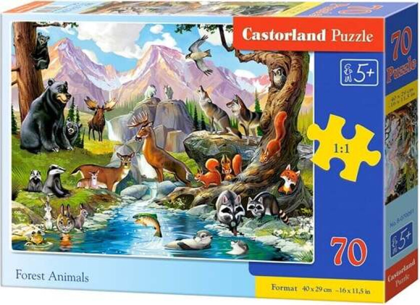 B-070091 puzzle