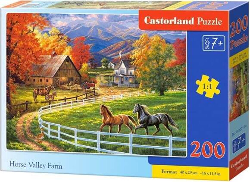 B-222124 puzzle