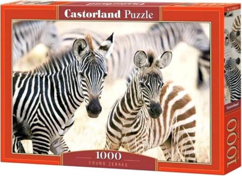 Unge zebraer 1000 brikker