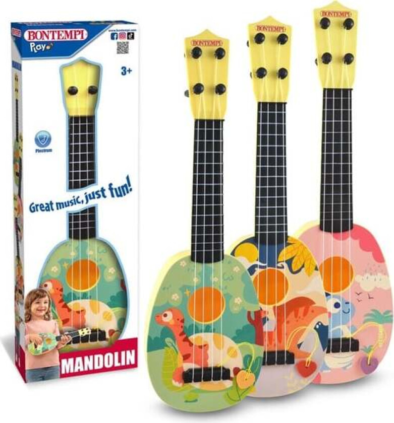 Bilde av Mandolin m/4strenge