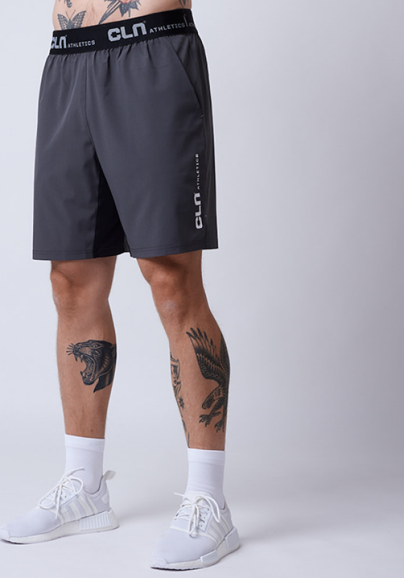 Dino Stretch Shorts Grå